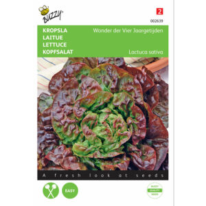 Buzzy® Lettuce Merveille Four Seassons Seeds