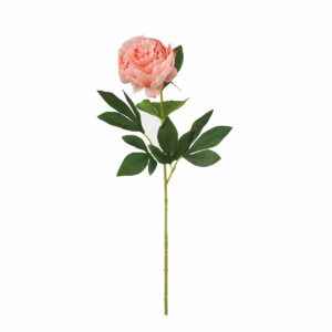 Peony peach 76cm
