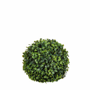 Boxwood Ball Green D19cm
