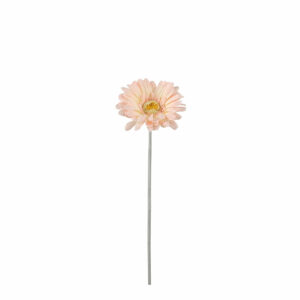 Gerbera Peach - 51cm