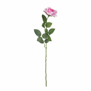 Rose Lilac 66cm