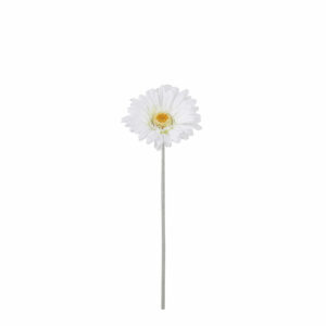 Gerbera Cream - 51cm