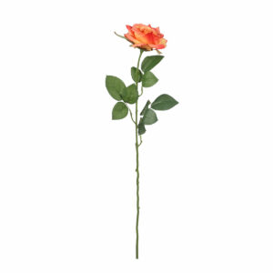 Rose Orange 66cm
