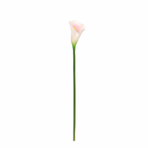 Calla Lily Pink 69cm