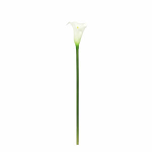 Calla Lily White 69cm