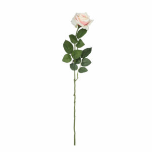 Rose Light Pink 66cm