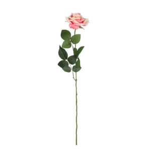 Rose Dusky Pink 66cm