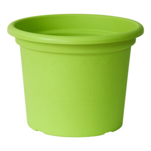 Pot Geo Acid Green