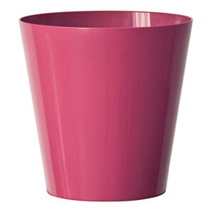Clivo Pot Cyclamen
