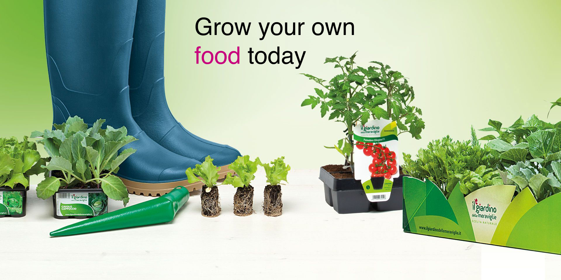 Grow your own food today