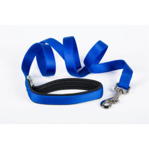 Blue Padded Nylon Leash