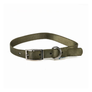 Collar With Buckle In Military Green Nylon