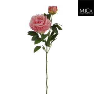 Peony D. Pink - L62cm