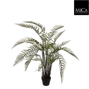 Fern In Pot Green
