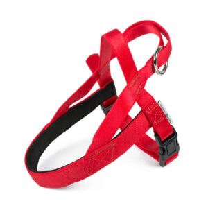 Norwegian Harness Padded Red XXL
