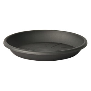 Saucer Medea Antrachite