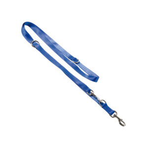 Blue Nylon Training Leash