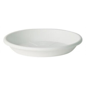 Saucer Medea White