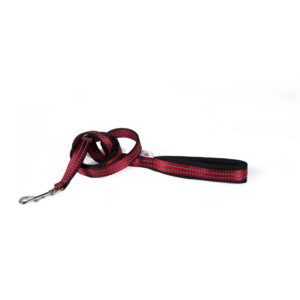 FreeSpirit Reflect Red Leash