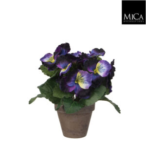 Pansy Dark Blue In Pot Stan Grey