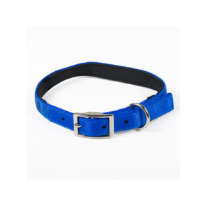 Padded Collar In Blue Nylon