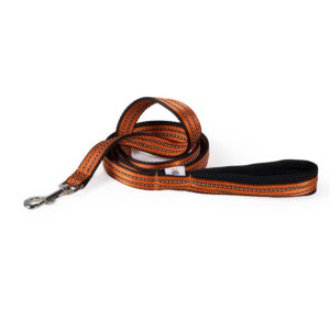 FreeSpirit Reflect Orange Leash
