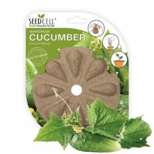 Cucumber SeedCell