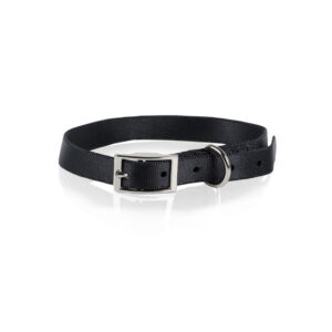 Black Nylon Collar With Buckle