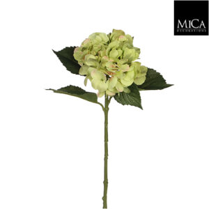 Hydrangea Green - L51cm