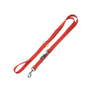 Red Nylon Training Leash