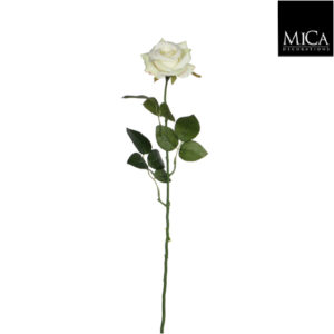 Rose Cream Lace - L66cm