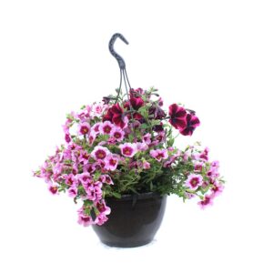 Garden Party in Basket 25cm