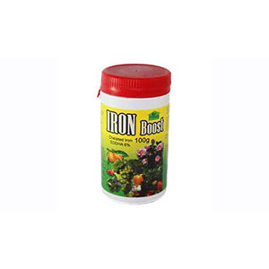 Iron Boost