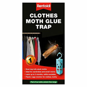 Rentokill Clothes Moth Glue Trap