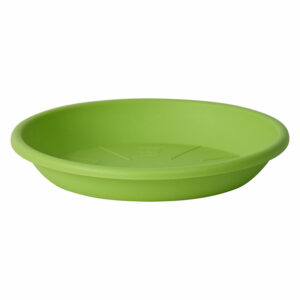 Saucer Medea Acid Green