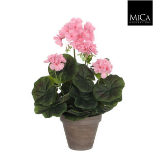 Geranium Pink In Pot Stan Grey