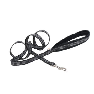 Free Spirit Nylon Leash