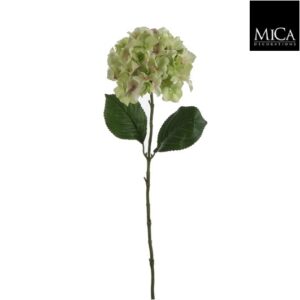 Hydrangea Green - L77cm