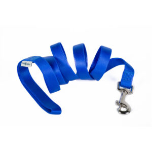 Blue Nylon Leash