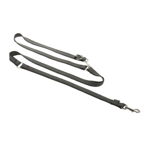 Gray Nylon Leash