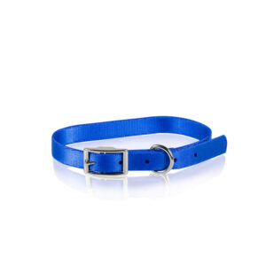 Collar C/Buckle In Blue Nylon