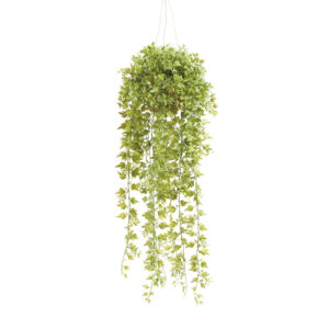 Ivy hanging bush plastic 50cm green in pot 11cm