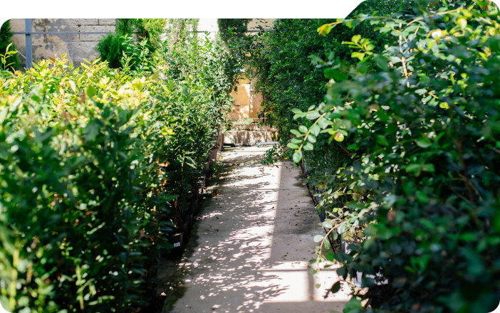 about-img-1